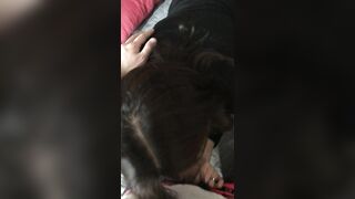 Korean Amateur Ppv Full Pack 2025017 간단 자위 방가경 고딩 업스 인스타 노예 히든페이스 교복 신작 (94)