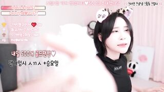 변태력 높은 BJ가비 밑가슴 코스튬 은꼴방송