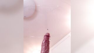 서안 질싸 자위