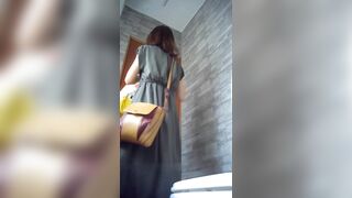Domestic Panoramic Toilet 8