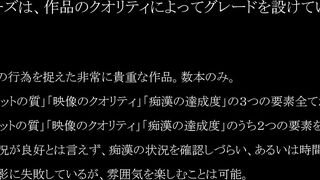 真・ 玄人痴漢 ﾌｧｲﾙ 029-031（Ｂ級） voyeur jp 2