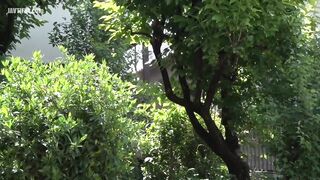 JUL-297 My neighbors have made me do this many times. Reducing Mosaic JAV