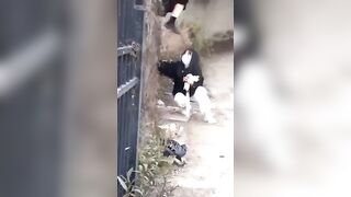 最新版『本物の個人撮影・流出』総まとめ（画像12173／動画3573／120ギガ jvip 280526 QKjBD0mzSjJM51 0040