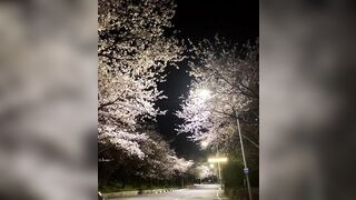 ★부산딸램(틱톡+인스타) 모음집★ korean porn (34)